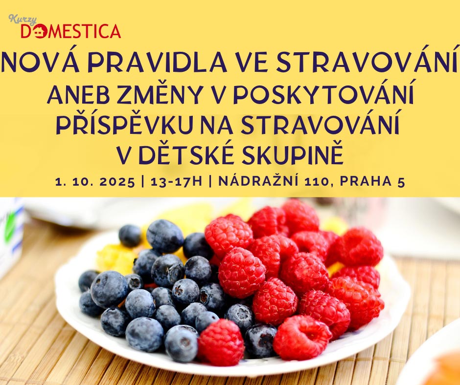 Sousedská dětská skupina