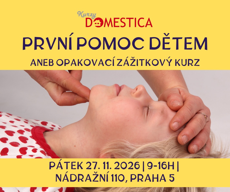 První pomoc dětem aneb opakovací zážitkový kurz