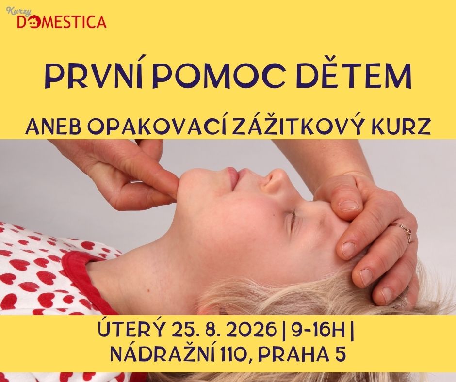 První pomoc dětem aneb opakovací zážitkový kurz